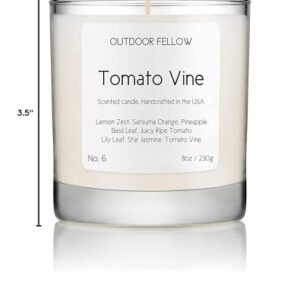 Outdoor Fellow Tomato Vine Luxury Scented Candle, 40+ Hour Burn Time, Coconut & Apricot Wax Blend, Best Smelling Luxury Tomato Candle for Home, (8oz)