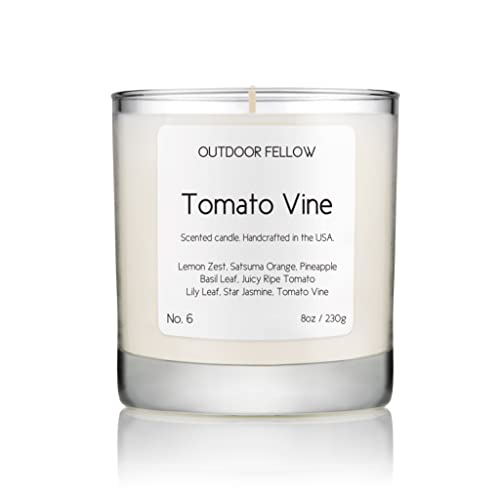 Outdoor Fellow Tomato Vine Luxury Scented Candle, 40+ Hour Burn Time, Coconut & Apricot Wax Blend, Best Smelling Luxury Tomato Candle for Home, (8oz)