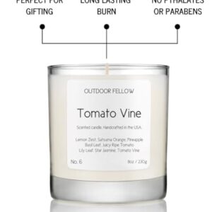 Outdoor Fellow Tomato Vine Luxury Scented Candle, 40+ Hour Burn Time, Coconut & Apricot Wax Blend, Best Smelling Luxury Tomato Candle for Home, (8oz)