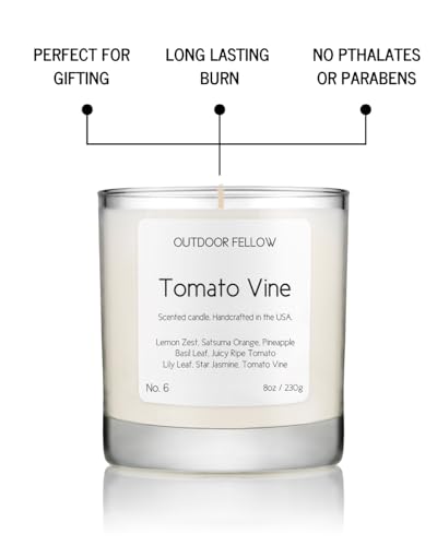 Outdoor Fellow Tomato Vine Luxury Scented Candle, 40+ Hour Burn Time, Coconut & Apricot Wax Blend, Best Smelling Luxury Tomato Candle for Home, (8oz)