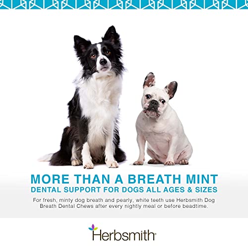 Herbsmith Dog Breath - Dog Dental Care Solution - Natural Dog Breath Freshener That Tackles Tartar - Dental Powder for Dogs - 150g Powder