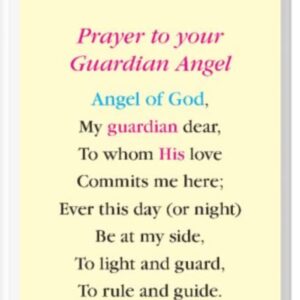 Prayer to Your Guardian Angel Laminated Holy Card Set of 5