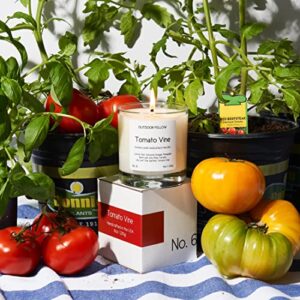 Outdoor Fellow Tomato Vine Luxury Scented Candle, 40+ Hour Burn Time, Coconut & Apricot Wax Blend, Best Smelling Luxury Tomato Candle for Home, (8oz)