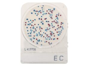 compactdry ec (e. coli and coliforms) for colony counting, aoac approved 110402, 240 plates/pack, by hardy diagnostics