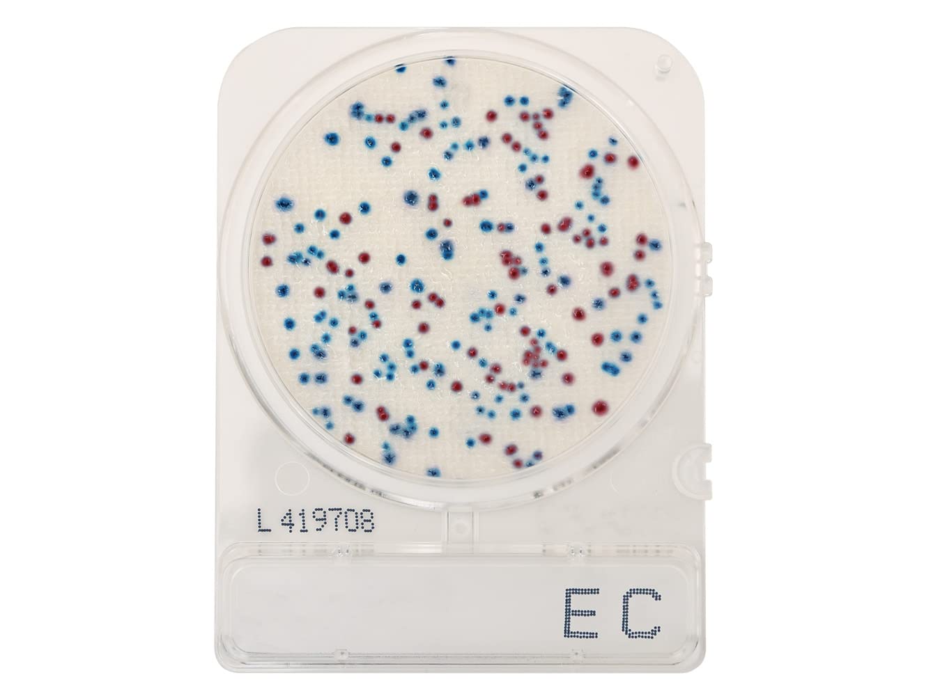 CompactDry EC (E. coli and coliforms) for Colony Counting, AOAC Approved 110402, 240 Plates/Pack, by Hardy Diagnostics