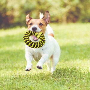 FELIXPAW Dogs Annular Toy Sensitive Colors and Protruding Shape Modeling Design Stimulate Dogs Long Time Playing Easier to Cleaning Teeth,for Small & Medium Dogs Training and Playing,Nylon