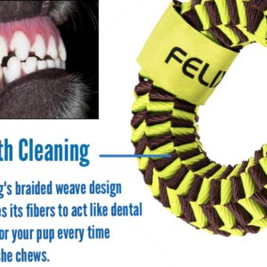 FELIXPAW Dogs Annular Toy Sensitive Colors and Protruding Shape Modeling Design Stimulate Dogs Long Time Playing Easier to Cleaning Teeth,for Small & Medium Dogs Training and Playing,Nylon