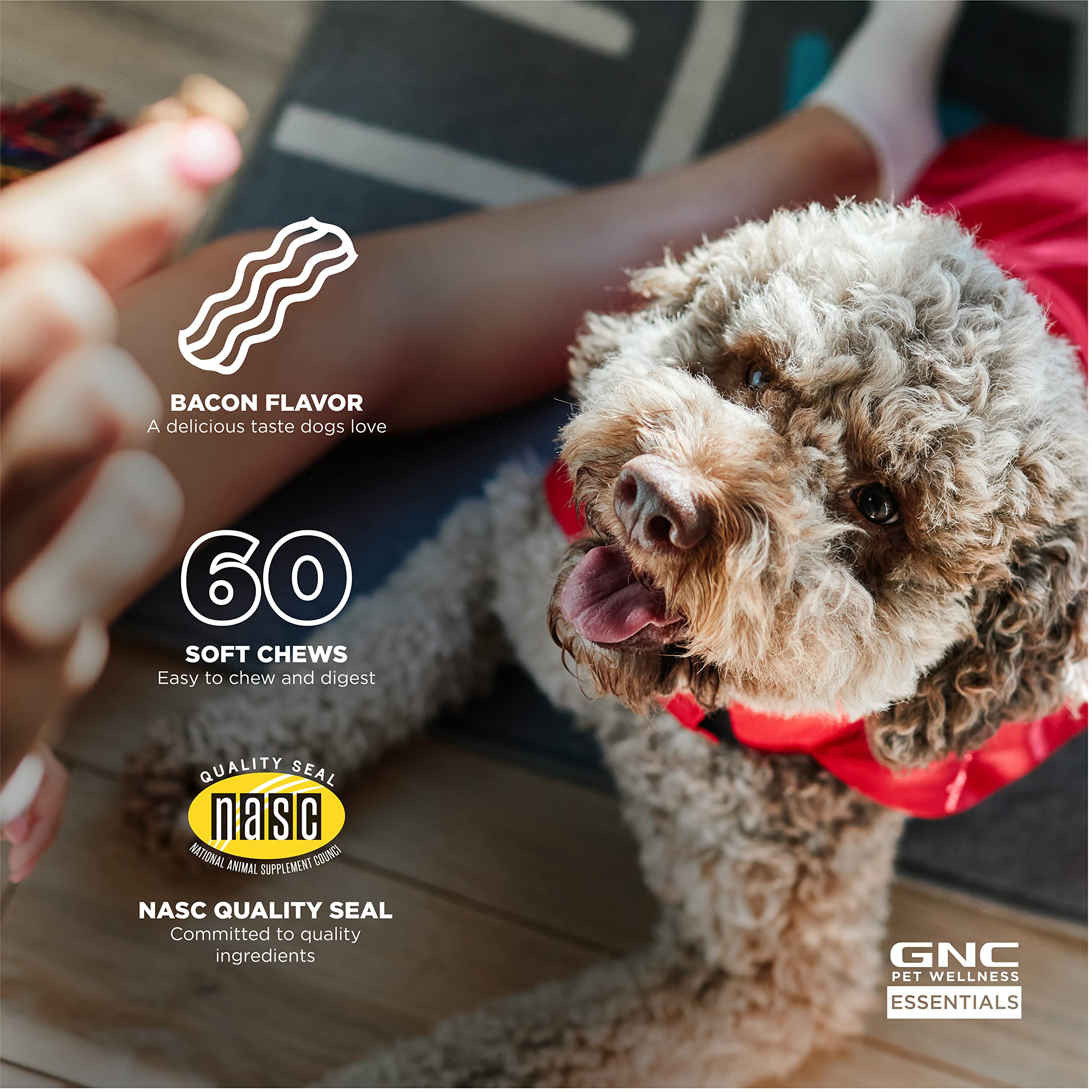 GNC Pets Essentials Digestion Supplements for All Dogs 60ct 2.2g Soft Chews Bacon Flavor 12oz Reusable Container | Daily Supplements for Dogs Digestion (FF15595)