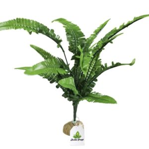 Josh's Frogs Tropical Artificial Reptile and Amphibian Plants (Fern)