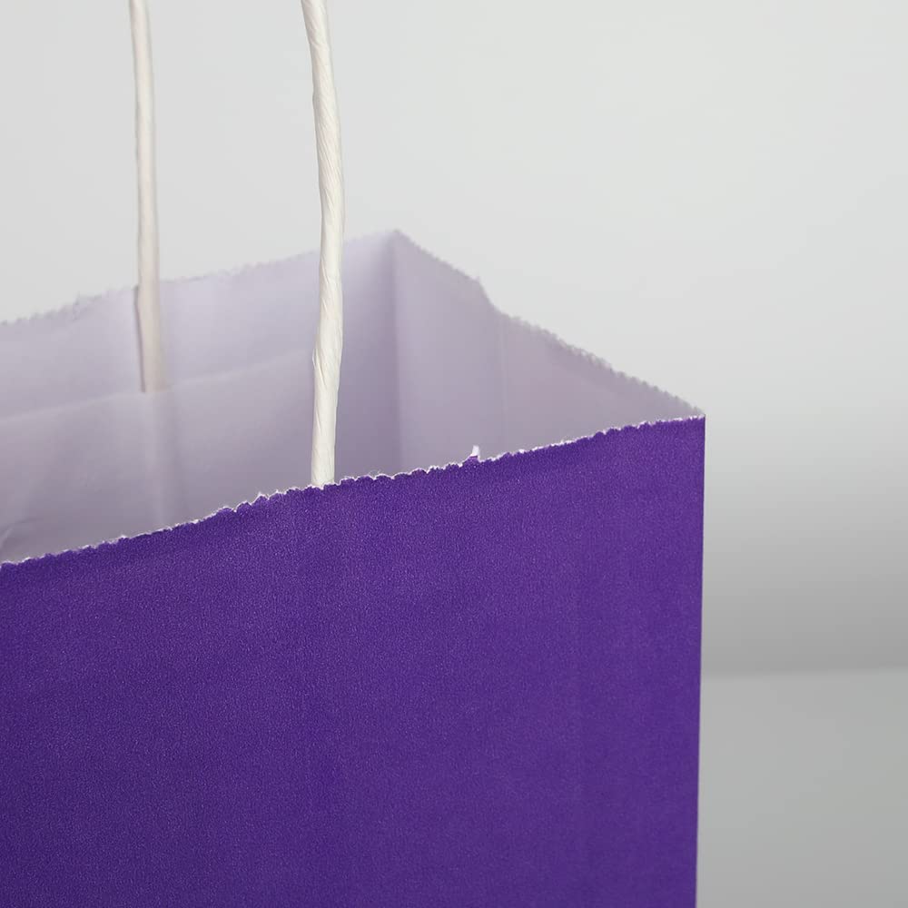 Oikss 50 Pack 8x4.75x10 inch Medium Paper Bags with Handles Bulk, Kraft Bags Birthday Wedding Party Favors Grocery Retail Shopping Takeouts Business Goody Craft Gift Bags Sacks (Purple 50PCS Count)