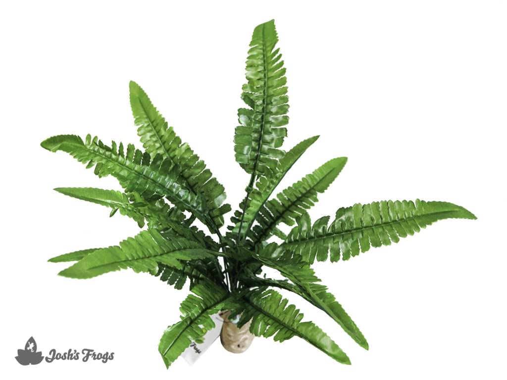 Josh's Frogs Tropical Artificial Reptile and Amphibian Plants (Fern)