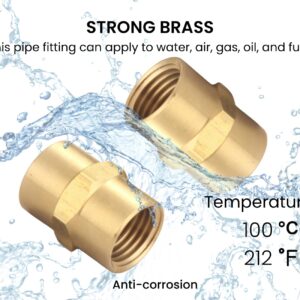 T TANYA HARDWARE Brass Coupling 1/4 Inch NPT Female x 1/4 Inch NPT Female Hex Head Pipe Fitting (Pack of 2), Compressor connector fnpt to fnpt, Air Hose Adapter Brass Fittings