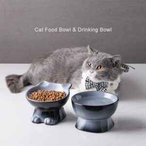 Nihow Elevated Cat/Dog Bowls: 5 Inch Ceramic Raised Cat Food & Water Bowl Set for Protecting Pet's Spine - Feeding & Watering Supplies for Pets - Elegant Gray (4.5 OZ /1 PC)