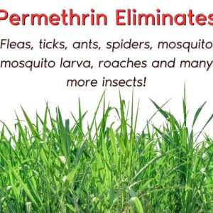 Zone Protects Flea and Tick Yard Permethrin Insecticide. Kills Ticks, Fleas, Spiders, Ants. Hose End (32 oz) Permethrin Yard Spray. Covers 10,000 sq.ft. Permethrin is Odorless