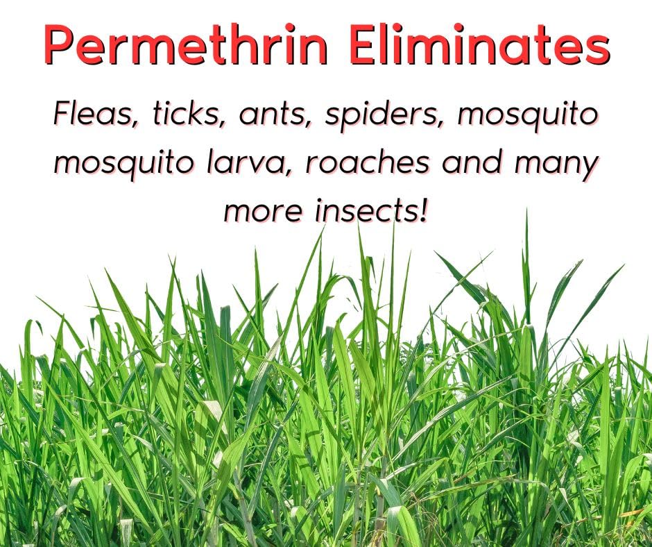 Zone Protects Flea and Tick Yard Permethrin Insecticide. Kills Ticks, Fleas, Spiders, Ants. Hose End (32 oz) Permethrin Yard Spray. Covers 10,000 sq.ft. Permethrin is Odorless