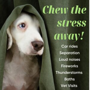 Calming Hemp Chews for Dogs - Pet Supplements for Anxiety Relief & Stress, Thunderstorms, Barking and Fireworks - Chicken & Bacon Flavour - 90 Treats