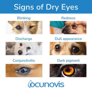 Sentrx Ocunovis Gel Eye Drops for Dogs & Cats, Eye Lube for Dogs Allergy Relief Lubricant, Dogs with Dry Eyes, Artificial Tears, 5 ml (6-Pack)