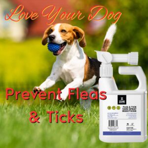 Zone Protects Flea and Tick Yard Permethrin Insecticide. Kills Ticks, Fleas, Spiders, Ants. Hose End (32 oz) Permethrin Yard Spray. Covers 10,000 sq.ft. Permethrin is Odorless