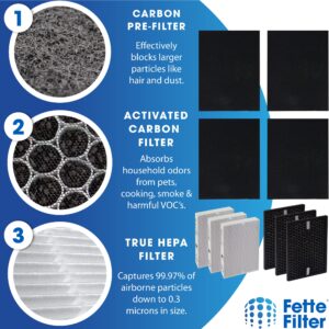 Fette Filter - Air Purifier Replacement True HEPA Filter Kit Compatible with Honeywell InSight Air Purifiers Model HPA5300B HPA5350 & PowerPlus HPA3300 HRF-R3, HRFSC1 Filter S HRF-A300