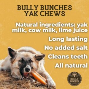 Bully Bunches Small Authentic Yak Cheese Himalayan Chews for Small Dogs & Puppies - All Natural Dog Treat Dental Chews, Made with Real Yak Milk for Teething - Lactose & Rawhide Free (3 Pk)