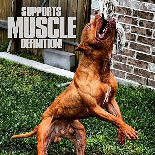 Muscle Bully Muscle Builder for Dogs - Combines Clinically Proven Muscle Building Ingredients That Support Muscle Growth, Size, Definition and Endurance. Ultimate Canine Muscle Building Supplement.