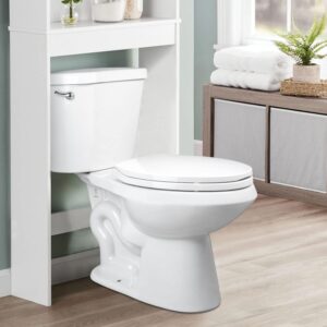 Toilet seat Elongated with Slow Close Hinges, Four Bumpers Never Loosen and Easily Remove, Two Sets of Parts, Plastic, White