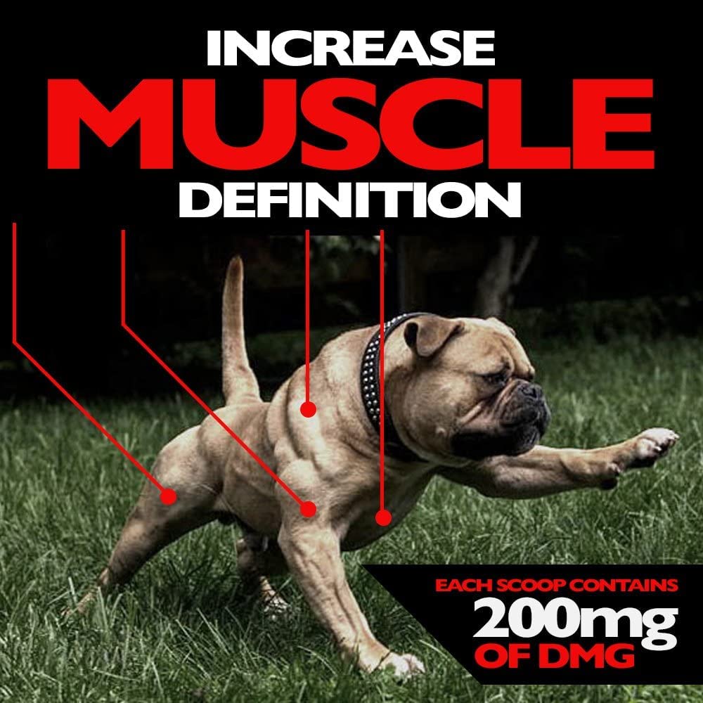 Muscle Bully Muscle Builder for Dogs - Combines Clinically Proven Muscle Building Ingredients That Support Muscle Growth, Size, Definition and Endurance. Ultimate Canine Muscle Building Supplement.