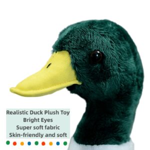 FRANKIEZHOU Realistic Mallard Duck Plush-12”Long, Lifelike Duck Stuffed Animal, Duck Plush, Soft Duck PlushToys,Pillow for Kids,Gifts for Kids,Baby Gift,Cute Plush,Home Decor,Pet Favorite