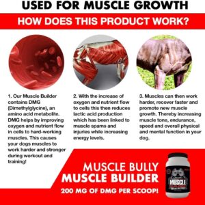 Muscle Bully Muscle Builder for Dogs - Combines Clinically Proven Muscle Building Ingredients That Support Muscle Growth, Size, Definition and Endurance. Ultimate Canine Muscle Building Supplement.