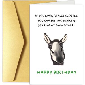 chenive funny donkey birthday for him her, quirky birthday card for friend brother sister, humorous birthday greeting card for men women, two donkeys staring at each other