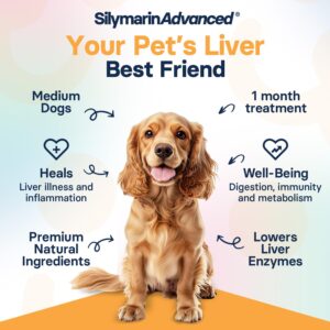 SilymarinAdvanced Liver Health Supplement for Medium Dogs, S-Adenosylmethionine (Same) and Silybin, Liver Tablets, Cognitive Support, 30 Tablets