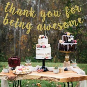 Suagelaz Thank You for Being Awesome Banner, Inspirational Appreciation, Birthday, Friendship, Graduation Banner for Employee, Best Friend, Teacher, Coworkers (Gold)