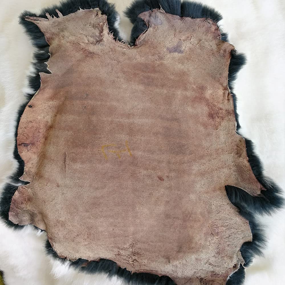 Natural Tanned Real Rex Rabbit Fur Pelt Animal Skin Hide Craft Grade Sewing Quality Leather White Tip On Black,About 16.5'' by 10.2''