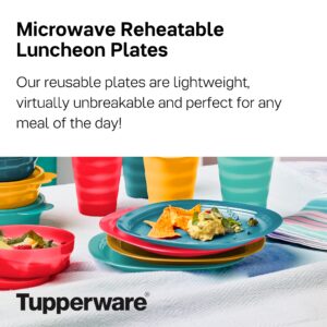 Tupperware Brand Microwave Reheatable Luncheon Plates - Dishwasher & Microwave Safe - BPA Free - Reusable, Lightweight, Durable & Great for Kids