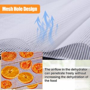 4 Silicone Dehydrator Mats with Edge + 6 Mesh Dehydrator Sheets Reusable Non-stick Fruit Dehydrator Mats Compatible with Cosori CP267-FD Silicone Tray Liner for Fruits Meat Vegetables(Pack of 10)