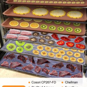 4 Silicone Dehydrator Mats with Edge + 6 Mesh Dehydrator Sheets Reusable Non-stick Fruit Dehydrator Mats Compatible with Cosori CP267-FD Silicone Tray Liner for Fruits Meat Vegetables(Pack of 10)