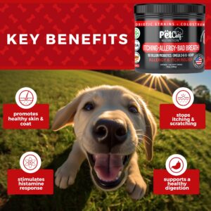 Pet Chef Allergy Defender - Natural Dog Allergy Relief Chews - Effective Medicine for Dog Allergies, Environment and Household Irritant Prevention - Safe & Strong Allergy Supplements for Dogs