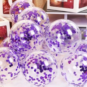 Purple Confetti Balloons, 25 Pcs Thickened 12 Inch Clear Latex Balloon with Confetti Inside for Graduation Engagement Bridal Shower Party Baby Shower Birthday Party Decorations Supplies