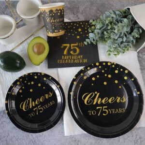 Pandecor Birthday Party Plates and Napkins Party Supplies Set Serve up to 20 Guests (75 years old)