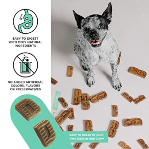 BIXBI Natural Dog Dental Care Chews Oral Health Dog Treats, for Medium/Large Size Dogs, 15 Treat Pack