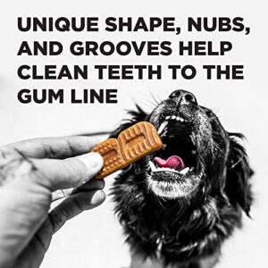 BIXBI Natural Dog Dental Care Chews Oral Health Dog Treats, for Medium/Large Size Dogs, 15 Treat Pack