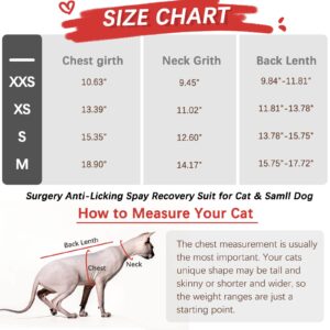 DENTRUN Cat Surgery Anti-Licking Spay Recovery Suit, Cat Small Dog Cone E-Collar Alternative Recovery Shirt After Surgery for Male Female Abdominal Wounds Bandages, Pet Surgical Recovery Snuggly Suit