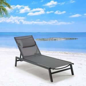 EROMMY Outdoor Chaise Lounge Chairs, All-Weather Patio Loungers with 5-Position Adjustable Backrest & Removable Cushions, Aluminum Reclining Chair for Beach, Poolside, Balcony