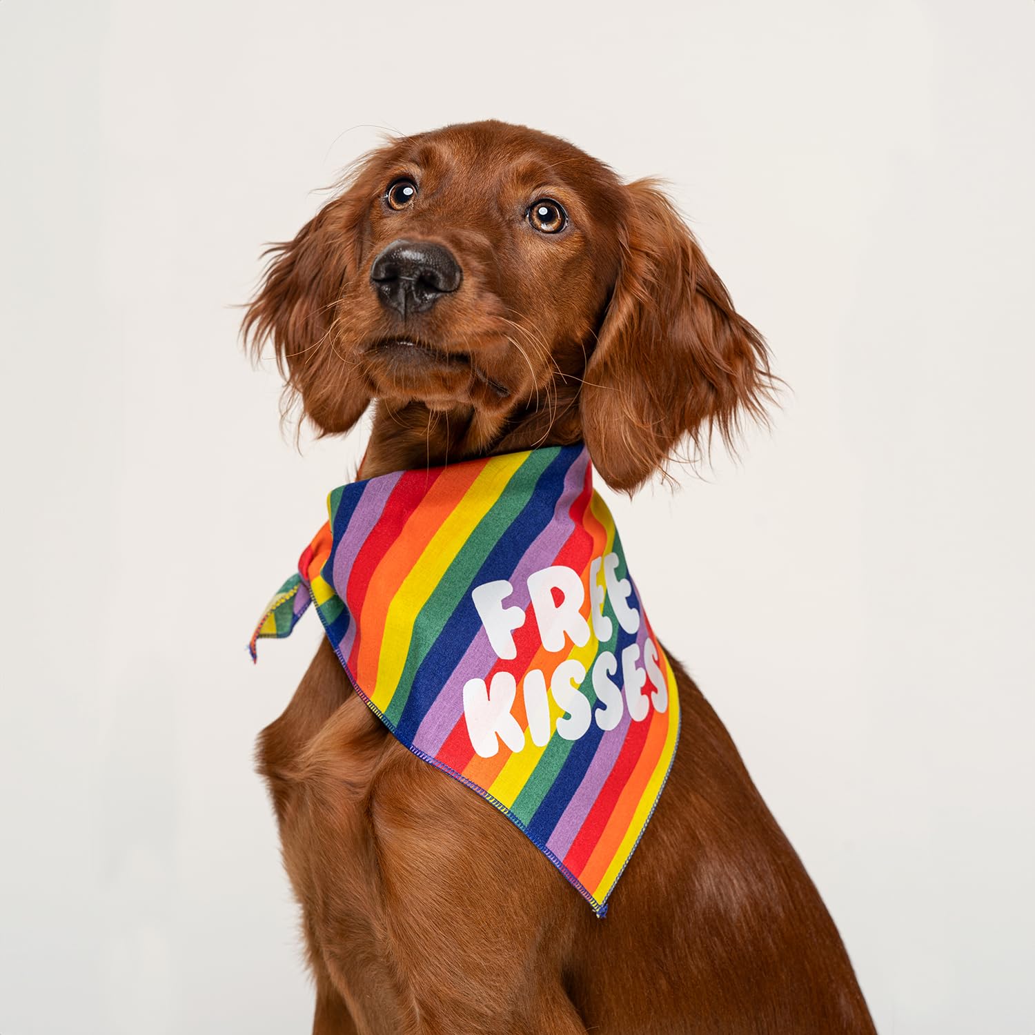 Free Kisses Pride Dog Bandana (Rainbow Stripe, OS 727)