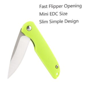 TENCHILON T28 Mini Flipper Folding Pocket Knife, 2.1 Inch Spear Point Blades, Contoured ABS Handle with Liner lock, Micro Small Little Gentlemen's Utility EDC Knives