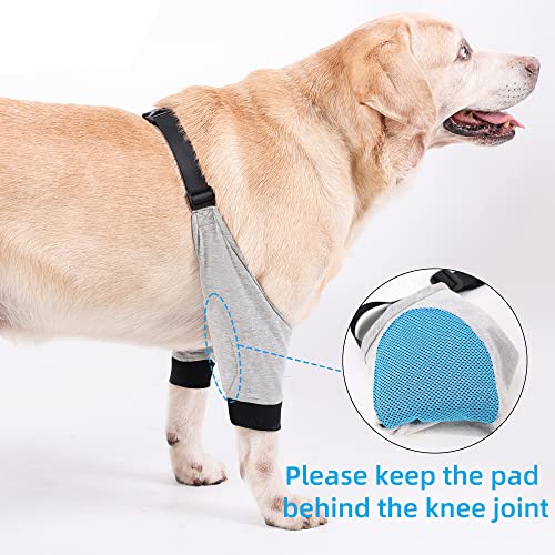 Tineer Dog Recovery Sleeve Protector Front Legs Joint Soft Padded Dog Brace Elbow Sleeve Pet Dog Leg Wounds Protection for Small Medium Dogs (L)