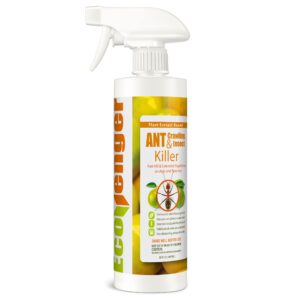 EcoVenger Ant Killer & Crawling Insect Killer (Citrus Scent) 480 ML, Kills Fast in Minutes, Also Kills Spiders, Centipedes & More, Repels with Residual, Natural & Non-Toxic, Safe for Children & Pets