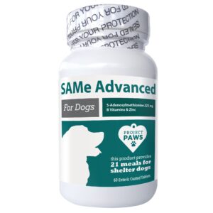 project paws same for dogs - liver support for dogs with vitamin b - cognitive dog supplement - s adenosyl methionine for dogs - 60 ct.