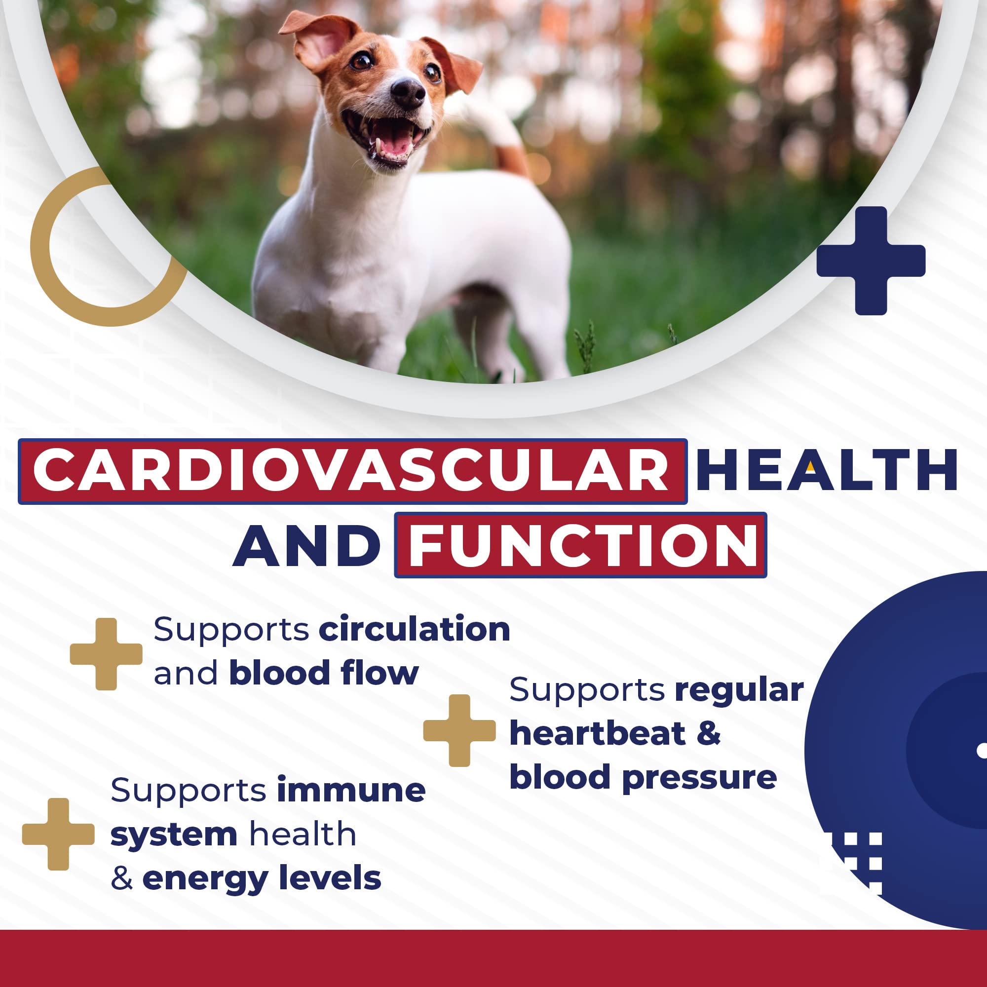 Cardio Tabs Heart Support Supplement for Dogs - Aids Cardio Support and Cardio Strength Supplement for Dog, L-Taurine, L-Carnitine, Hawthorn, L Arginine, Coenzyme Q10 - Made in USA - 120 Tablet