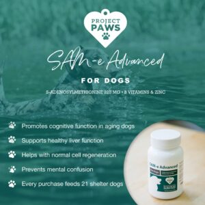 Project Paws Same for Dogs - Liver Support for Dogs with Vitamin B - Cognitive Dog Supplement - S Adenosyl Methionine for Dogs - 60 ct.